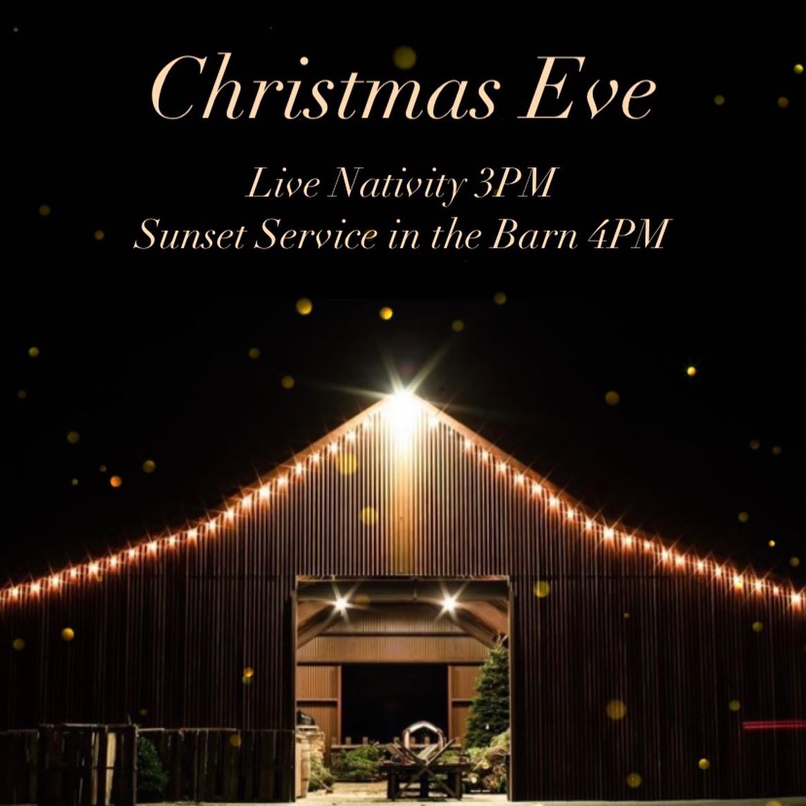 A Thrill of HOPE The weary world rejoices… Invite someone to Christmas Eve @fallbrookvineyardchurch 1924 E. Mission Rd, Fallbrook CA 92028Live Nativity 3PMSunset Service in the Barn 4PM🤍Chairs provided🤍@thevineyard1924 #athrillofhope #wonder #jesus #messiah #savior #godwithus #emmanuel #christmaseve #vineyardchristmas #christmasinthebarn #countrychristmas