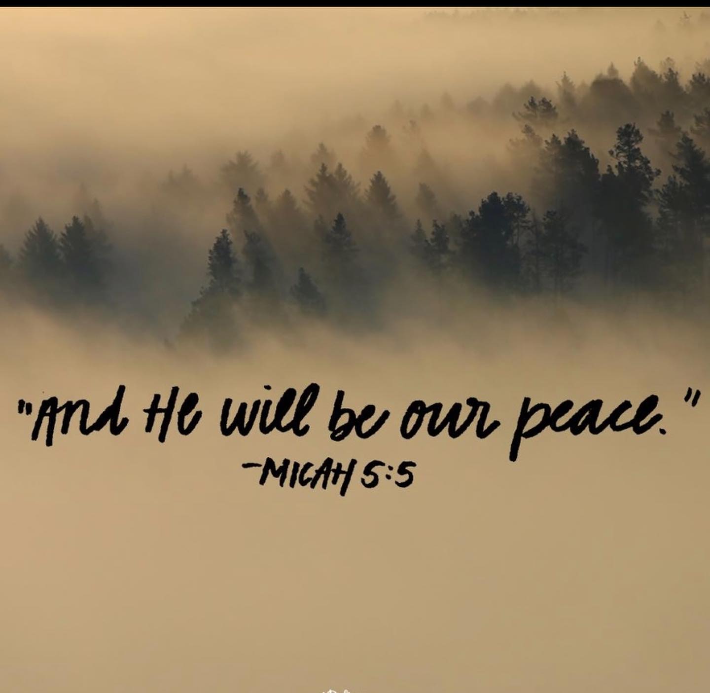 Where does your peace come from?  The world offers many ways to find peace, yet it doesn’t last and often leaves us [...]
</p>
</body></html>